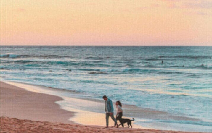 Vacances avec son chien