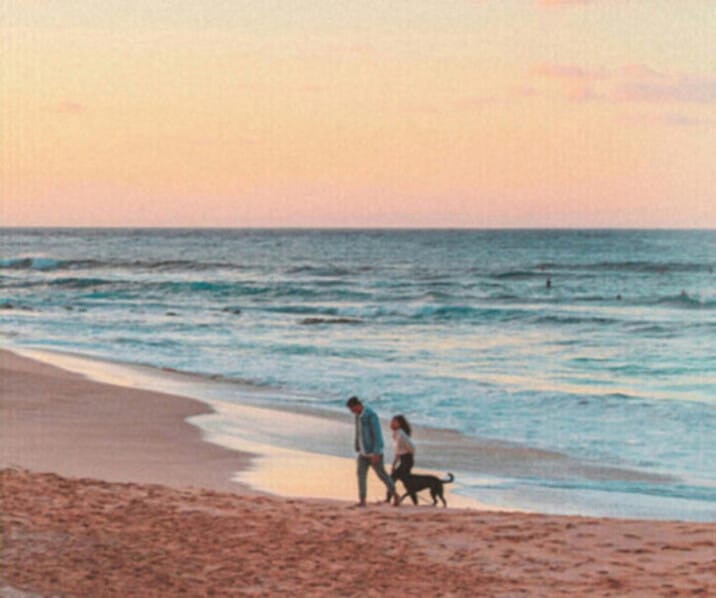 Vacances avec son chien