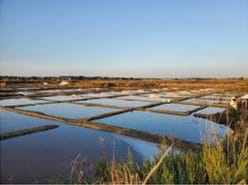 Les secrets des marais salants en Charente-Maritime