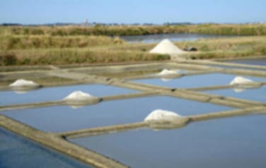 Les secrets des marais salants en Charente-Maritime