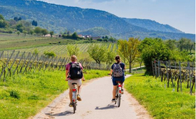 vélo, Charente-Maritime, Saint-Pierre-la-Noue