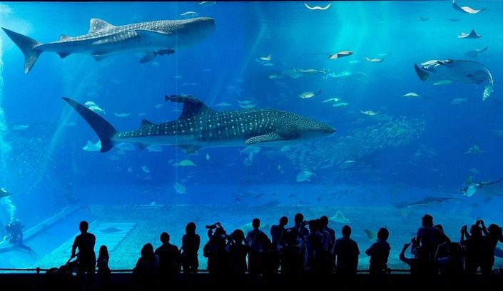 où dormir pour visiter l'aquarium de la rochelle